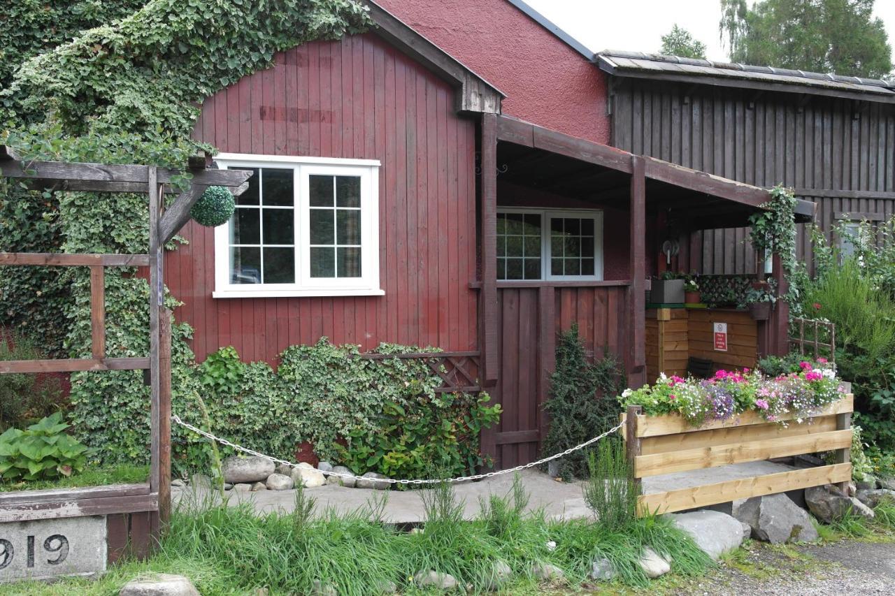 درامنادروشيت The Steading Highland Glen Lodge المظهر الخارجي الصورة